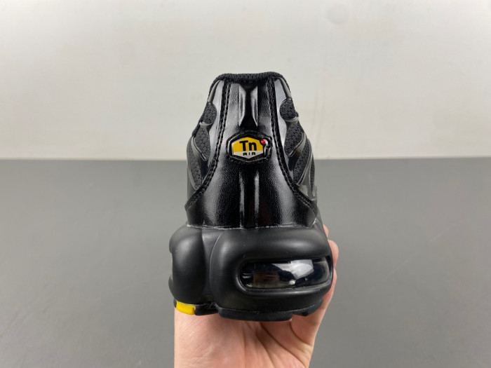 Nike Air Max Plus Triple Black 604133-050
