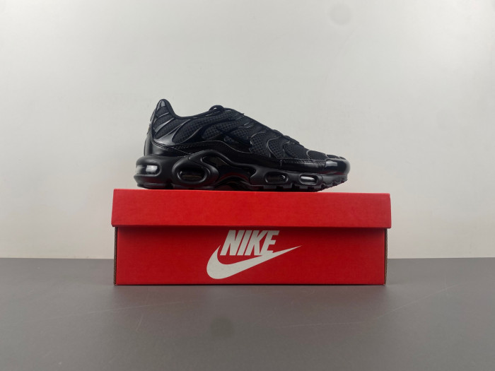 Nike Air Max Plus Triple Black 604133-050