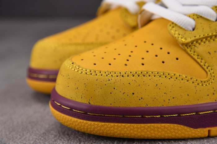 Nike Dunk SB Low “Yellow Lobster” 313170-137566