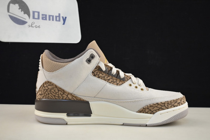 Air Jordan 3 “Palomino” CT8532-102