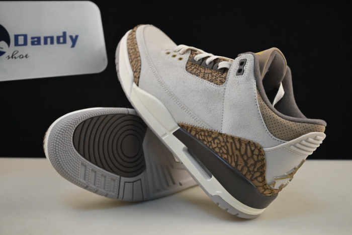 Air Jordan 3 “Palomino” CT8532-102