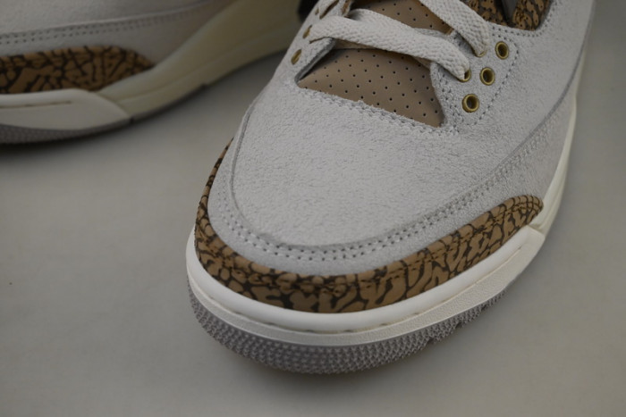 Air Jordan 3 “Palomino” CT8532-102