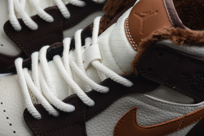 Air Jordan 1 Mid DO6699-200
