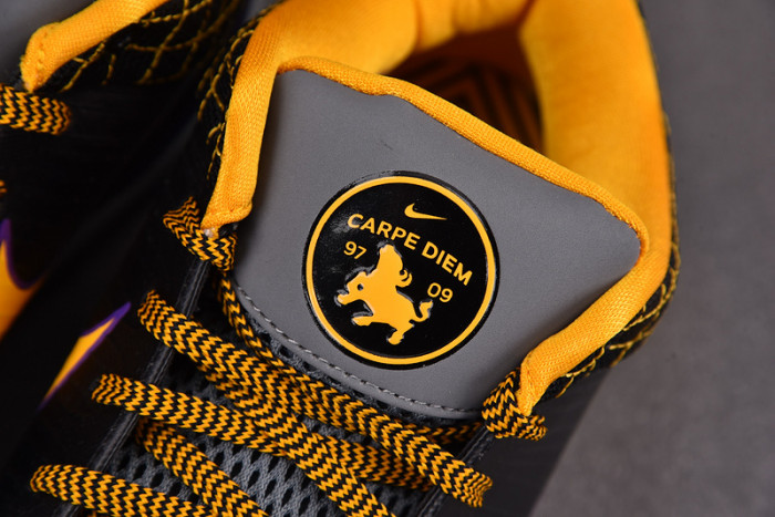 Nike Kobe 4 Protro Carpe Diem AV6339-001