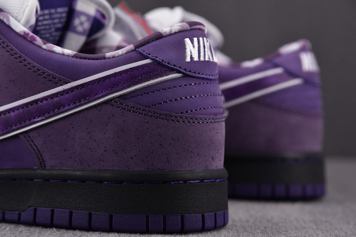 CONCEPTS X NK SB DUNK LOW "PURPLE LOBSTER" BV1310-555