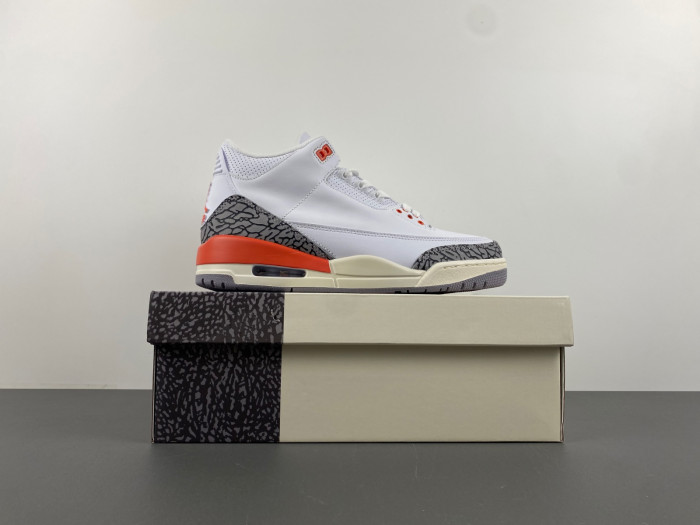 Air Jordan 3 Retro Georgia Peach (Women