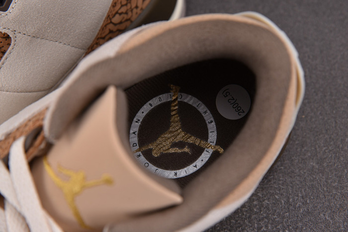 Air Jordan 3 “Palomino” CT8532-102