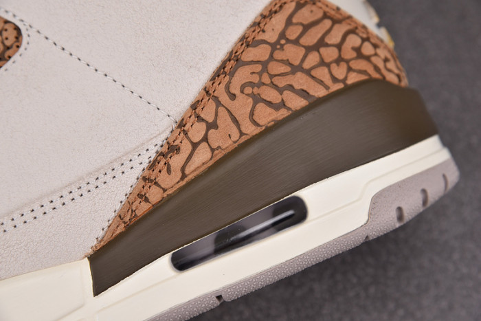 Air Jordan 3 “Palomino” CT8532-102