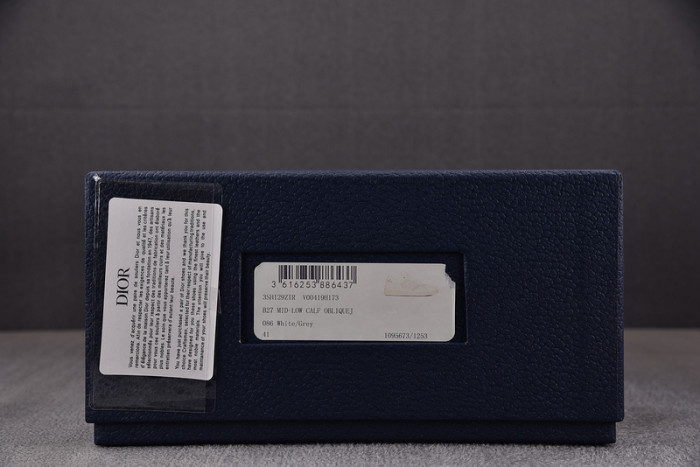 D10R B27 LOW SNEAKER