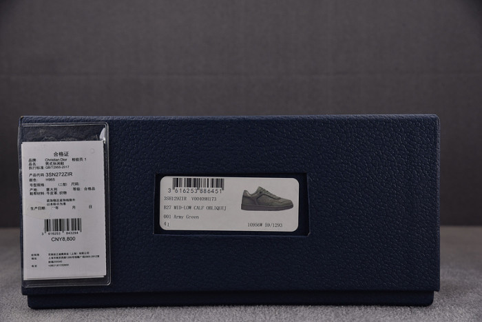 D10R B27 LOW SNEAKER