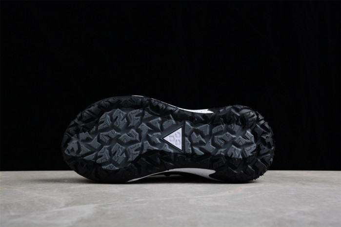 Nike Acg Mountaln Fly Low Gtx SE DQ7947-200