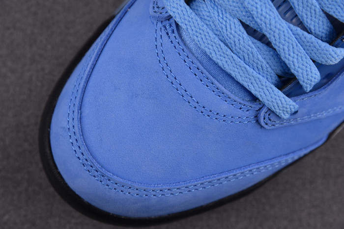 Air Jordan 5 Concord DV1310-401