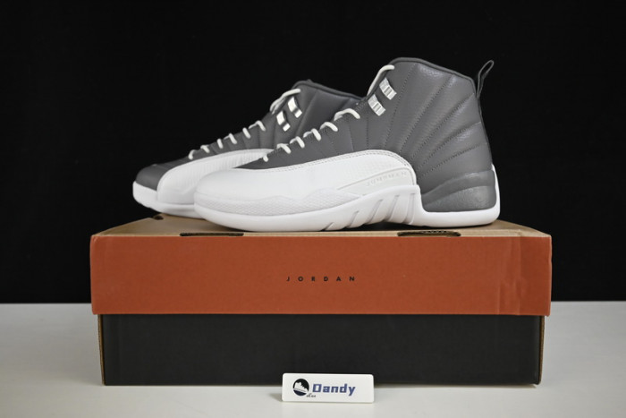 AIR JORDAN 12 STEALTH/WHITE-COOL GREY CT8025-610