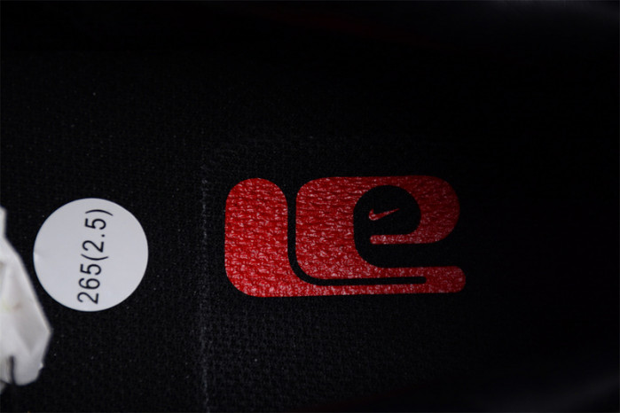 Nike Dunk Low CO.JP FJ5434-120