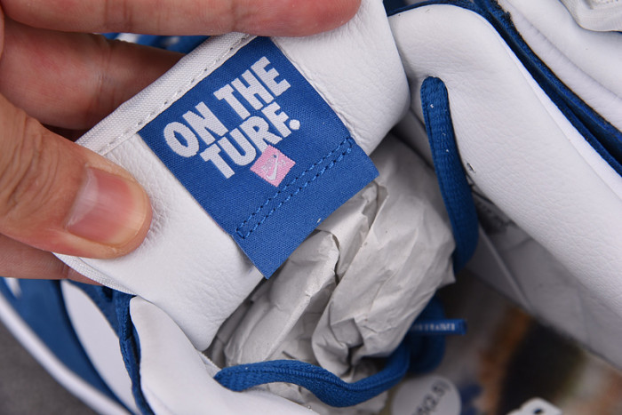 Born x Raised x Nike SB Dunk Low FN7819-400