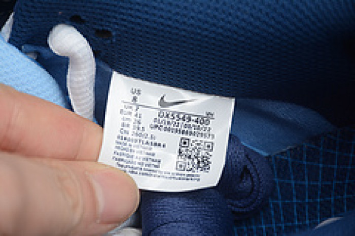 Why So Sad? x Nike SB Dunk Low DX5549-400