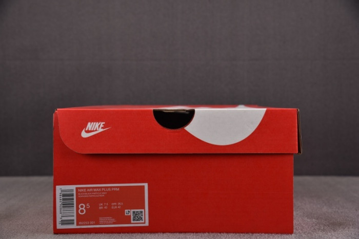 Nike Air Max Plus PSG Paris Saint-Germain Black Particle Grey IB2253-001