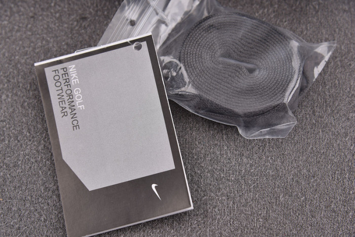 Air Jordan 1 Retro Low Golf Wolf Grey Gum DD9315-006