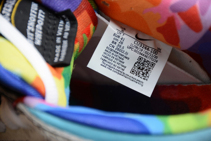 Nike SB Dunk Low Ben & Jerry