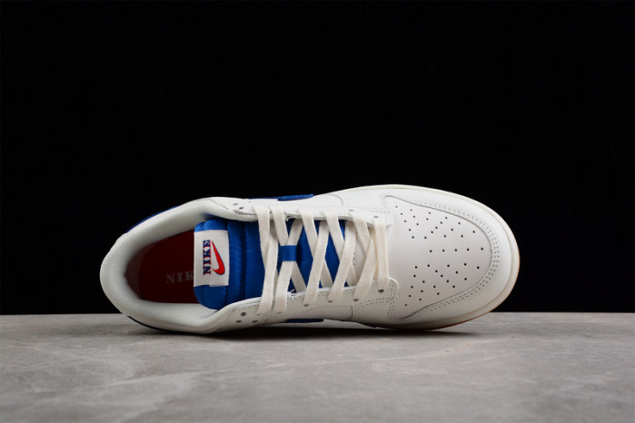 NIKE DUNK LOW RETRO DX3198-13