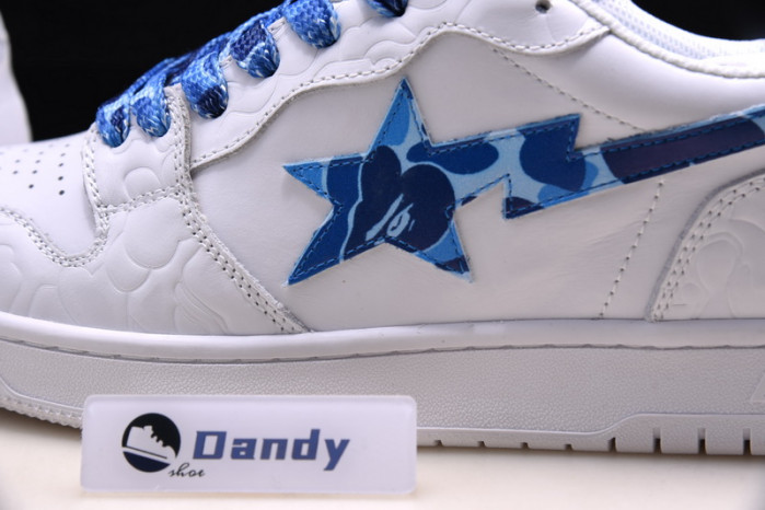 BAPE Shoe